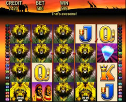 Fifty Lions Screenshot