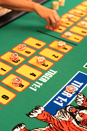 LuckyWin Tiger Dragon 2 Screenshot