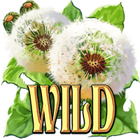 Wings of Riches Screenshot