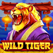 BG Wild Tiger