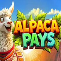 Pop Alpaca Pays